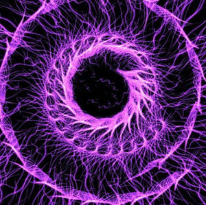 Meet your Posher, John alex